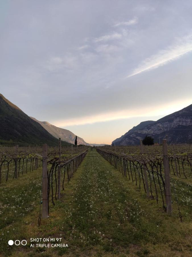 Brentino Belluno Agriturismo Revena מראה חיצוני תמונה