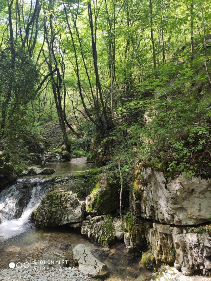 Brentino Belluno Agriturismo Revena מראה חיצוני תמונה