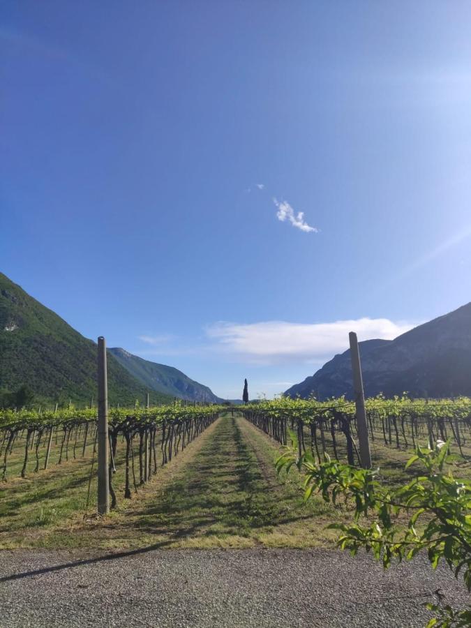 Brentino Belluno Agriturismo Revena מראה חיצוני תמונה