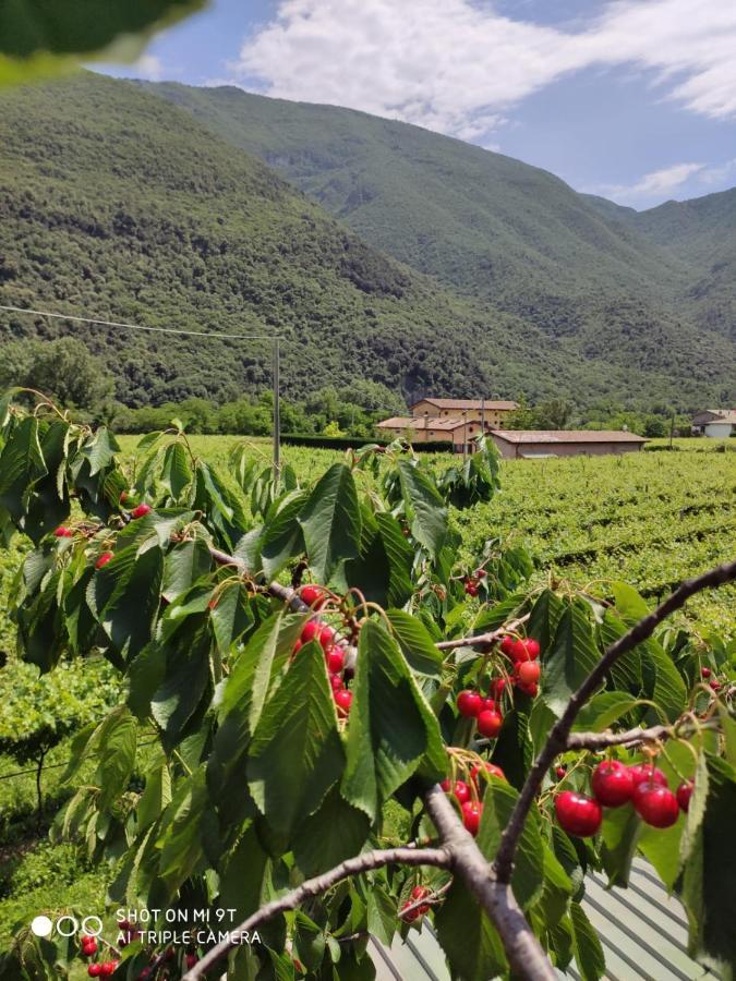 Brentino Belluno Agriturismo Revena מראה חיצוני תמונה